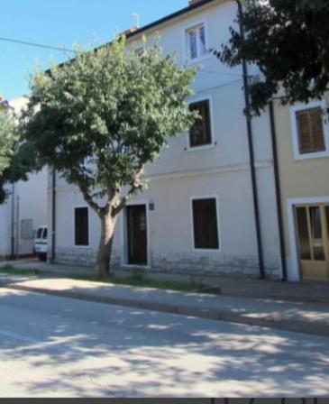 Pet Friendly Apartment Murvi 50 Novigrad  Exterior photo